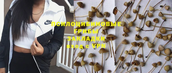 винт Алексеевка