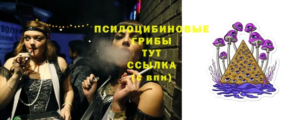прущая мука Алзамай