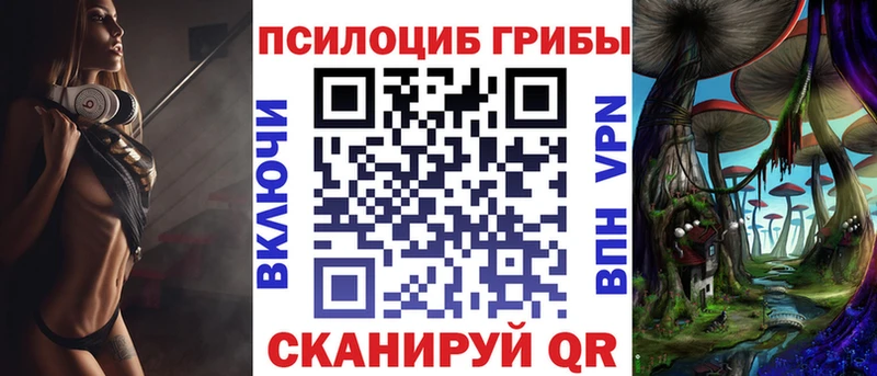 где можно купить   Урюпинск  Галлюциногенные грибы Cubensis 
